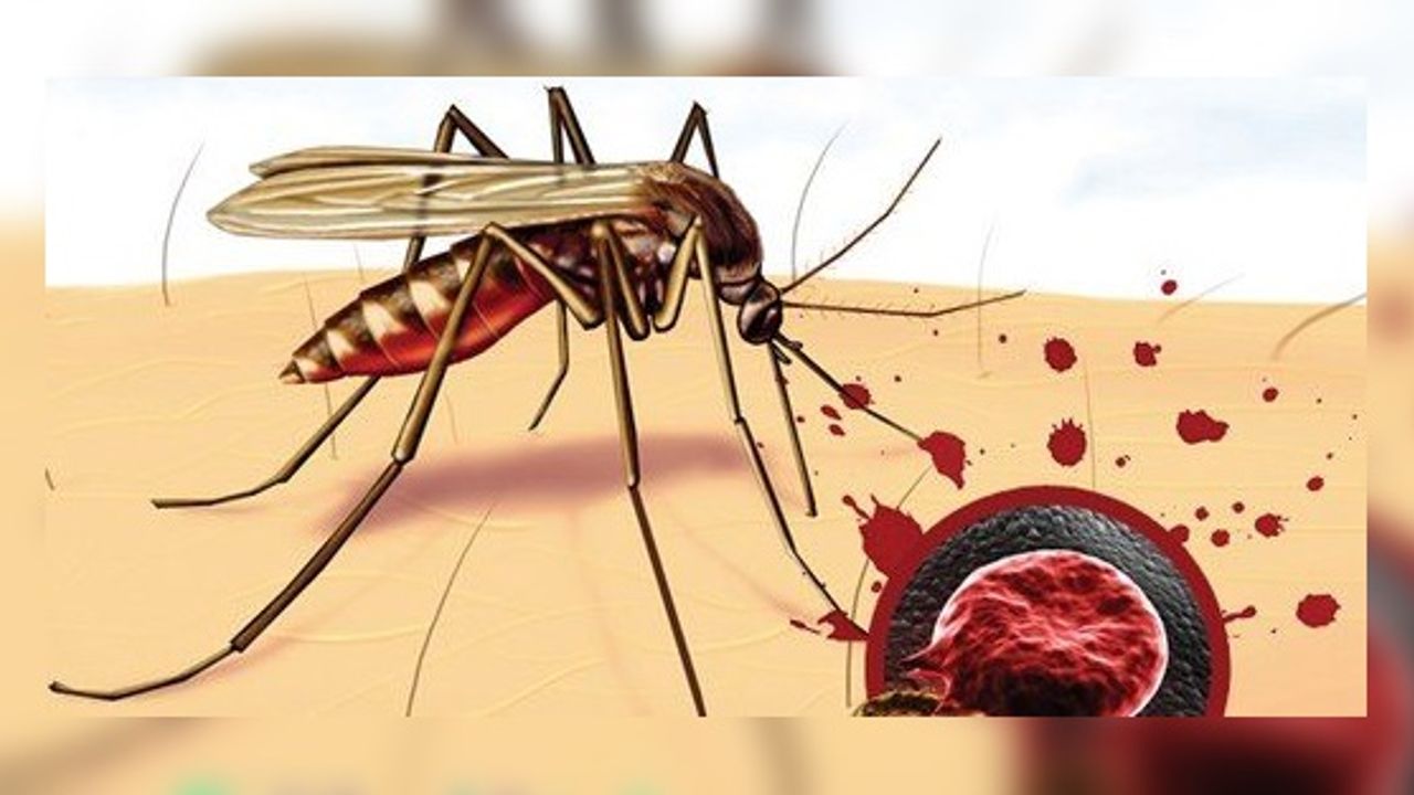 25 Nisan Dünya Sıtma Günü