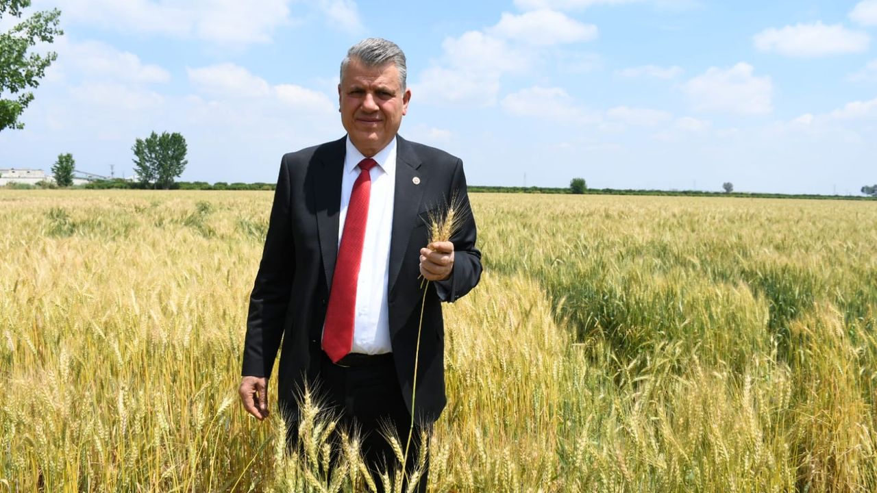 Ayhan Barut, hasadı bekleyen buğday üreticileri için tarladan seslendi