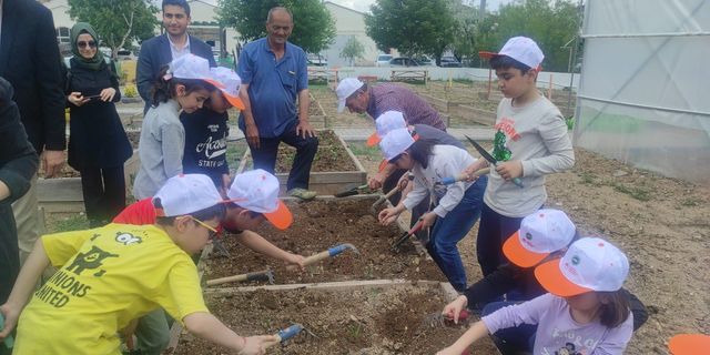 İzmarit Atma Tohum At