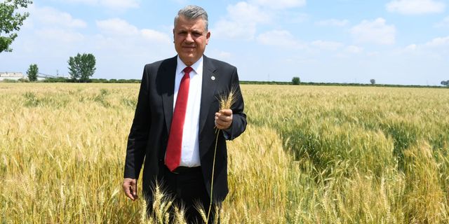 Ayhan Barut, hasadı bekleyen buğday üreticileri için tarladan seslendi