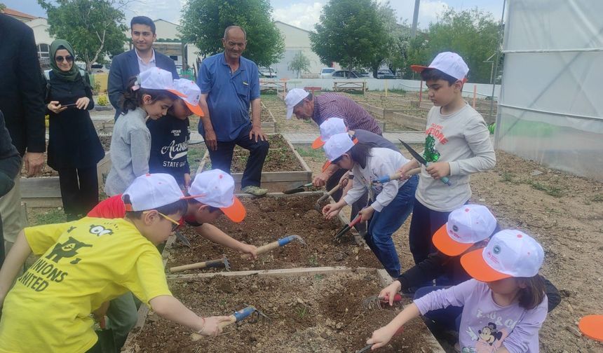İzmarit Atma Tohum At